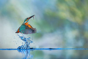 Halászó ékszer Halászó ékszer