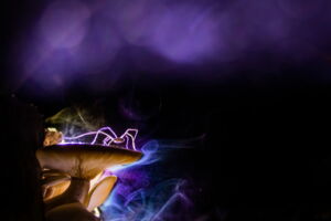 Az éjszakai álomvilág