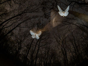 Könnyed lebegés Könnyed lebegés