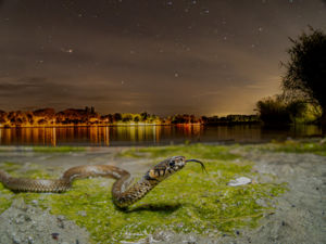 A város fényein túl