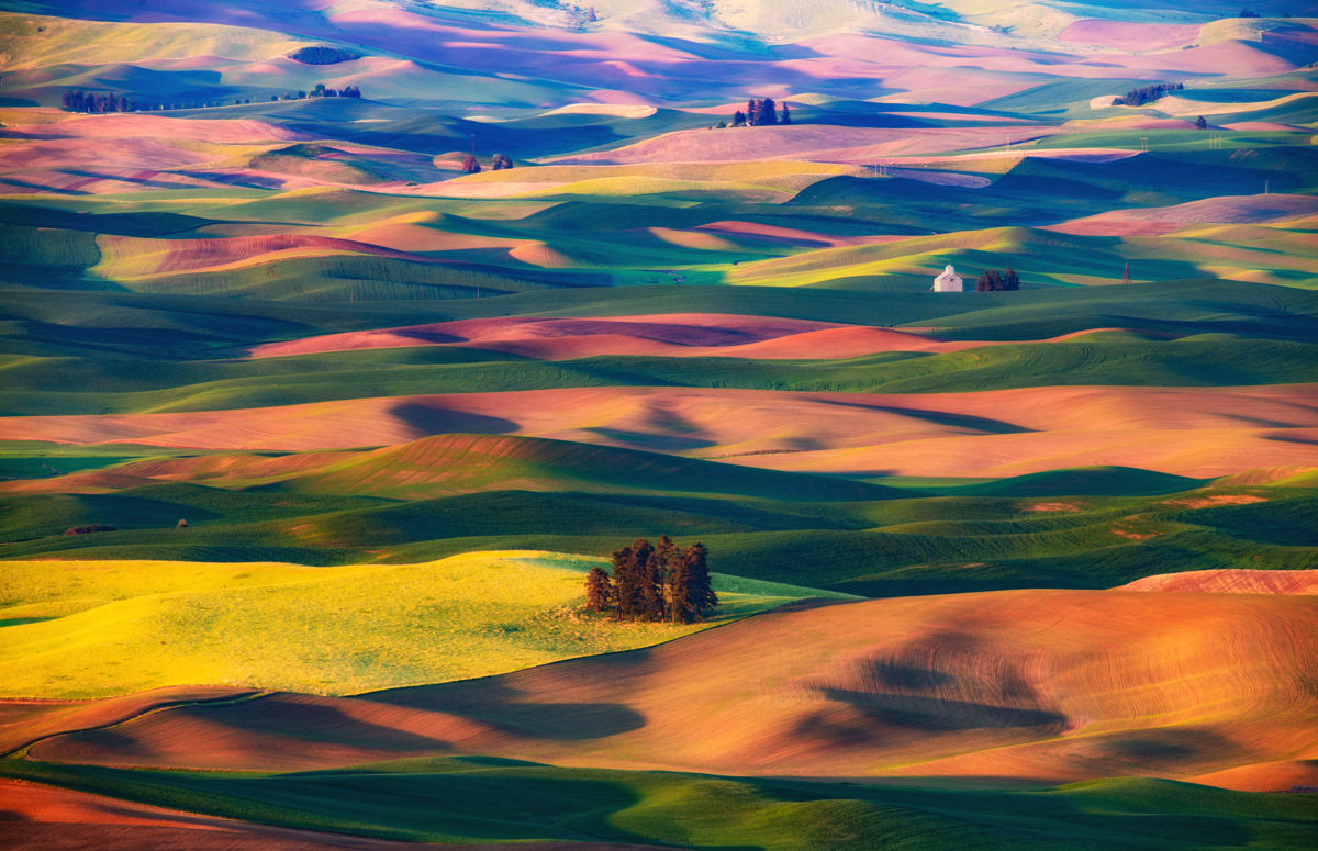 Szakolczai Krisztina