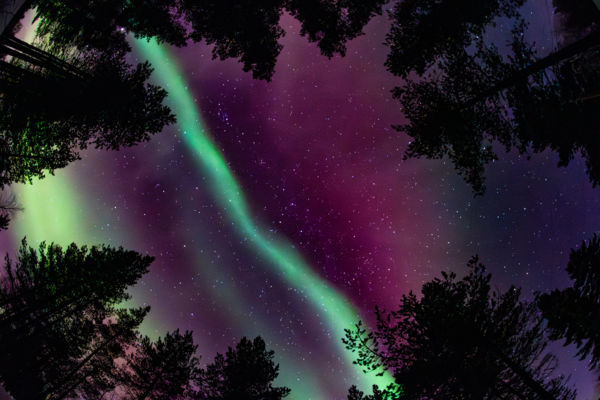 Természetes tüzijáték