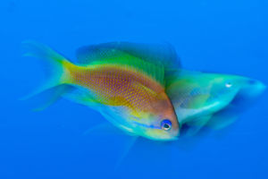 Mozgásban Mozgásban