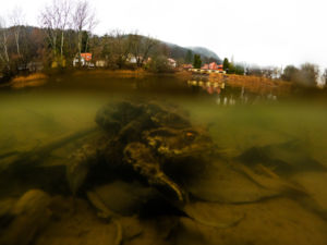 Két világ között