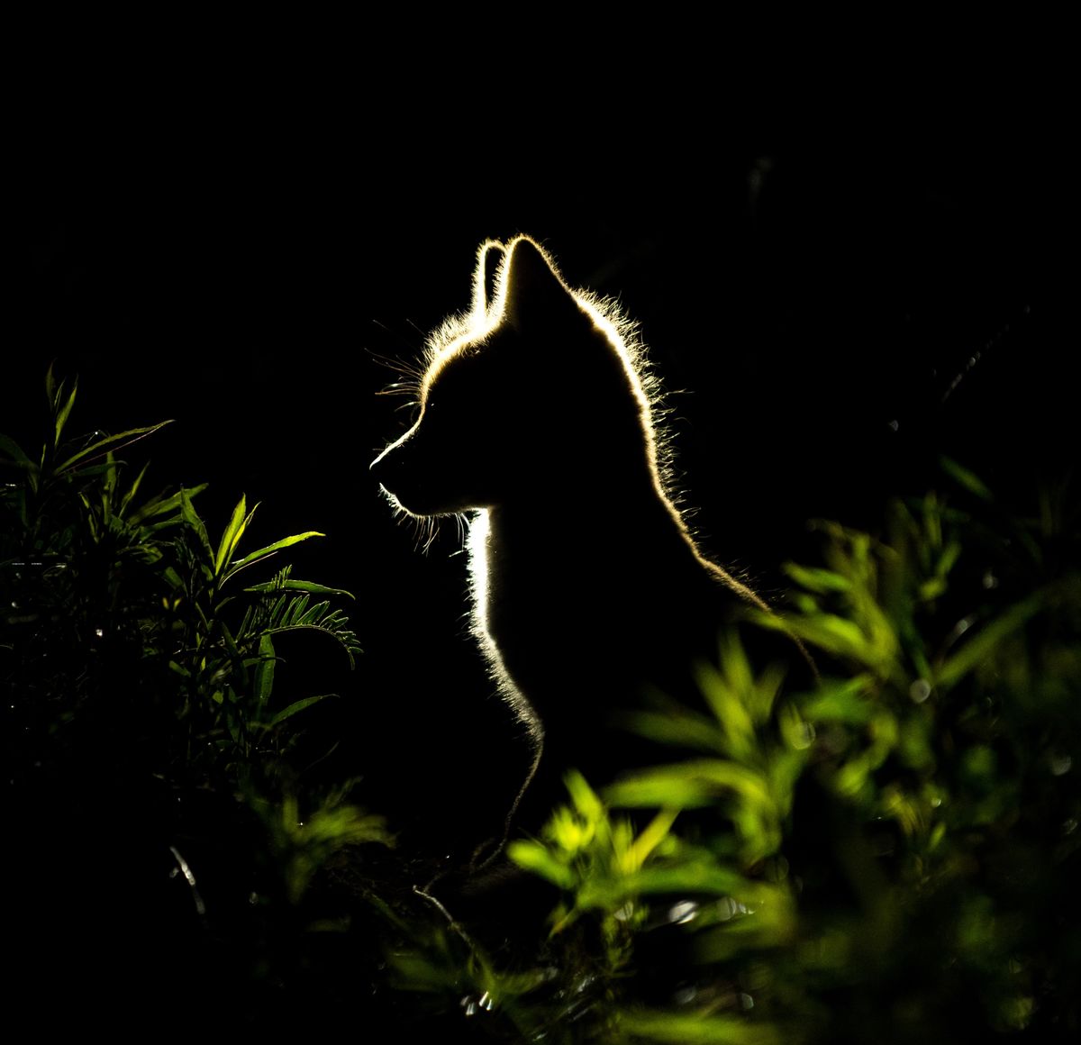 Varázslatos Magyarország – minden, ami természet!