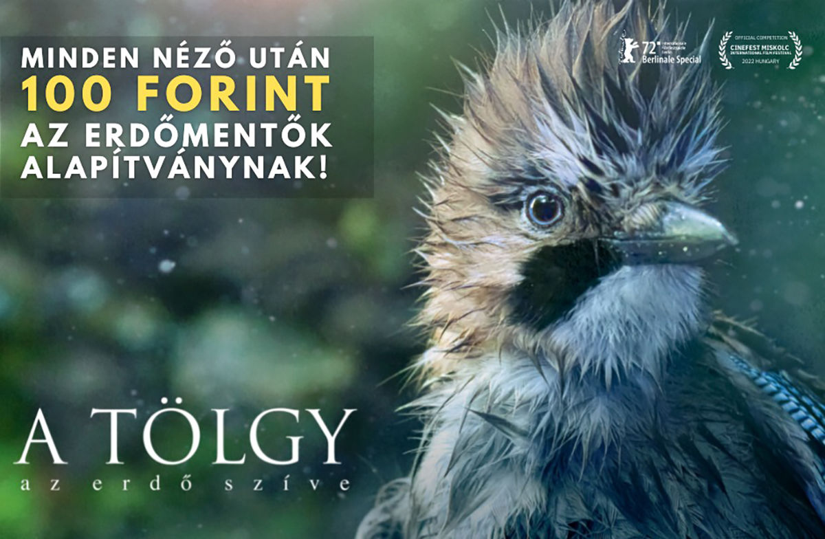 Mozijegy vásárlásával hozzájárulhatsz az erdők megmentéséhez