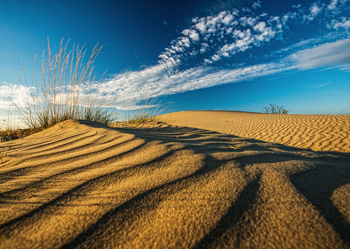 Kalandozások nemzeti parkjainkban – Kiskunsági Nemzeti Park IV.