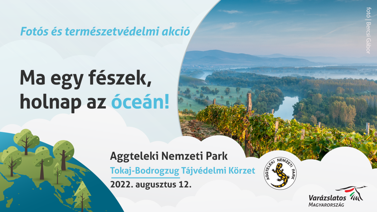 Élhető Bodrog embernek és madárnak – Evezz és dolgozz velünk!