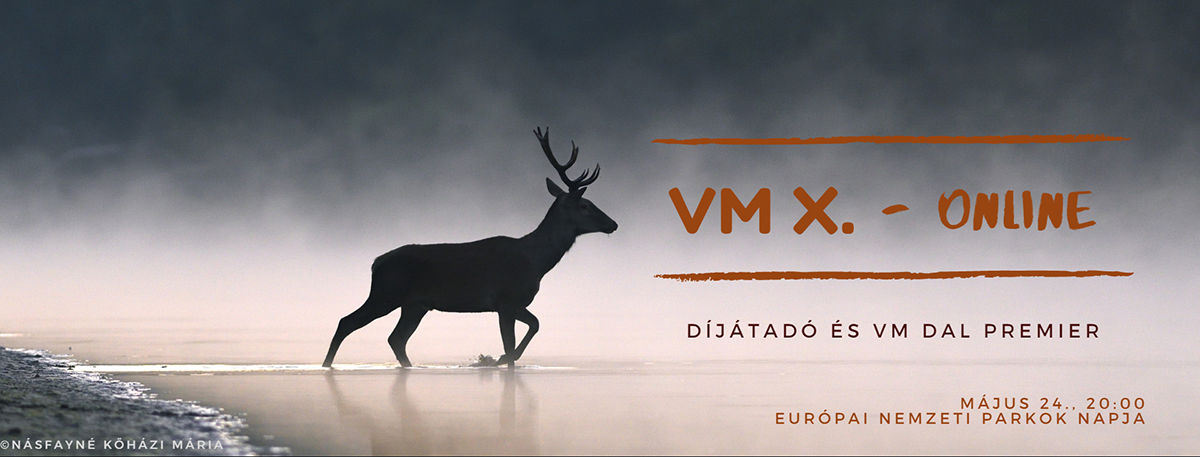 VM X. – online Díjátadó és VM dal premier
