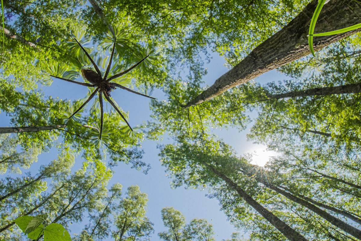 Kalandozások nemzeti parkjainkban – Duna-Dráva Nemzeti Park III.