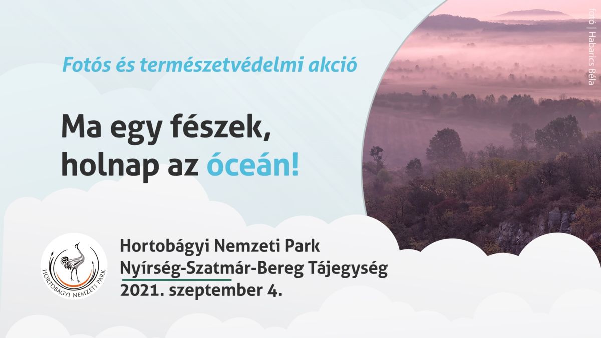 „Ma egy fészek, holnap az óceán!” – a Varázslatos Magyarország természetvédelmi akciója a Beregben