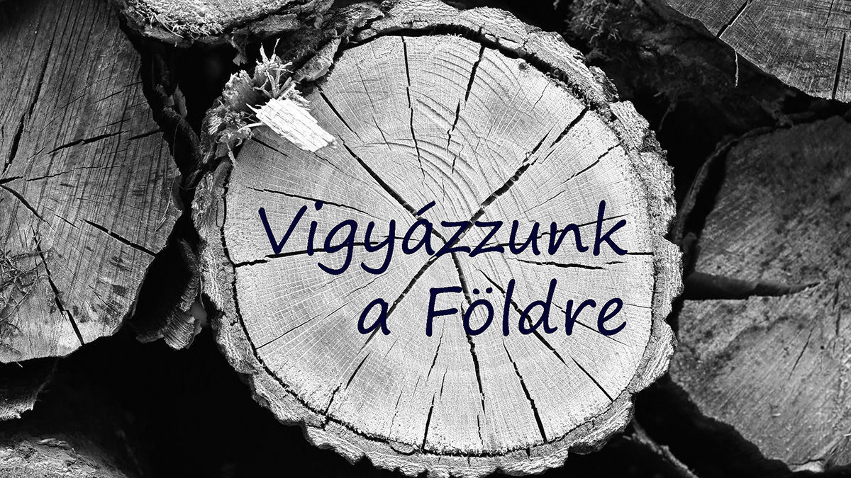 VM-es természetfotós siker a mozgókép világában