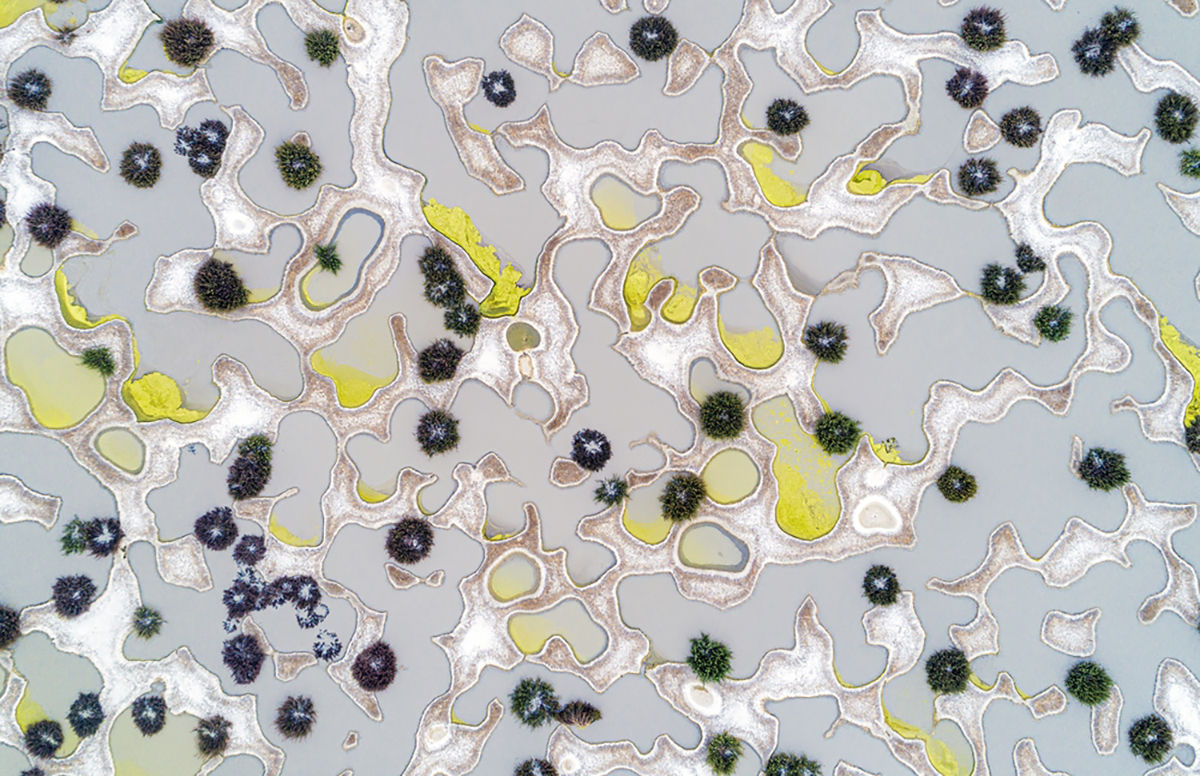 Taroltak a magyar fotósok az Asferico nemzetközi természetfotós pályázaton