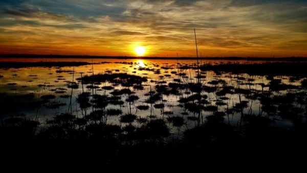 A Böddi-szék természeti értékeit bemutató fotópályázat díjazottjai