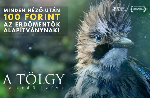 Mozijegy vásárlásával hozzájárulhatsz az erdők megmentéséhez