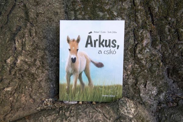 Árkus, a csikó – mese a Hortobágyról