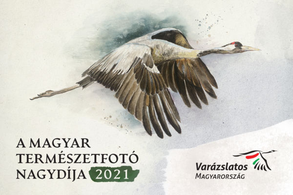 A Varázslatos Magyarország bemutatja: A MAGYAR TERMÉSZETFOTÓ NAGYDÍJA