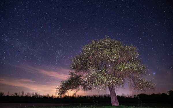 Varázslatos Magyarország fotókiállítás Strasbourgban