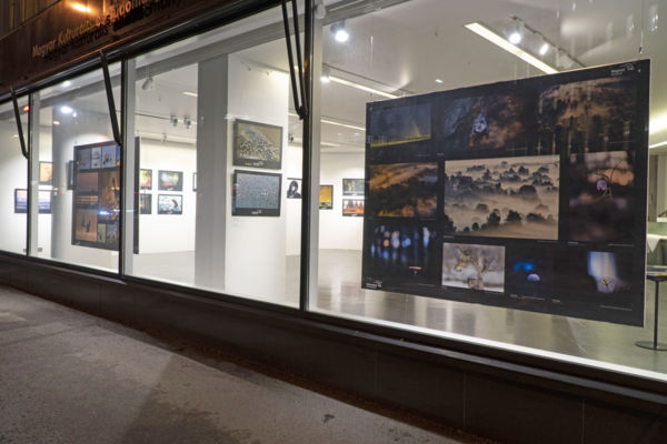 Magyar természetfotók Helsinkiben