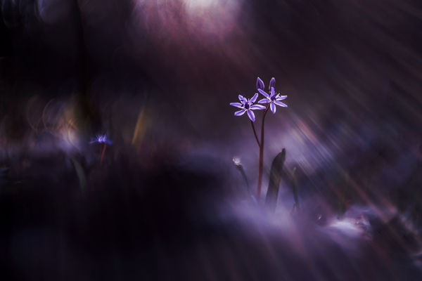 Hencz Judit képe lett a VM és UNESCO pályázatának győztese