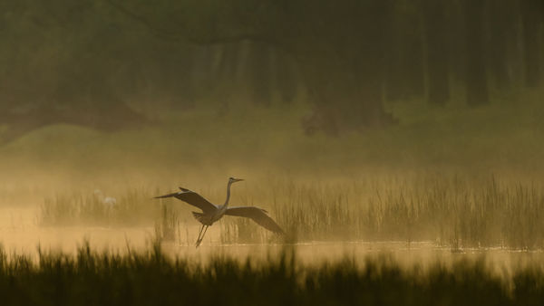 Kalandozások nemzeti parkjainkban – Duna-Dráva Nemzeti Park