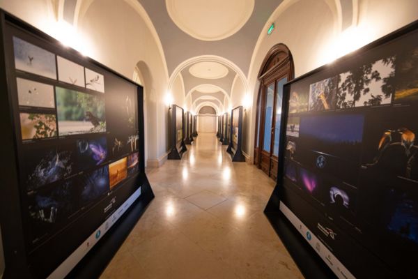 Ilyen volt Gödöllőn…