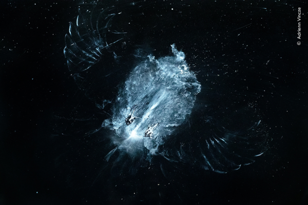 Magyar fotók a 2023-as év legjobb természetfotói között