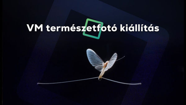 10. Varázslatos Magyarország természetfotó kiállítás