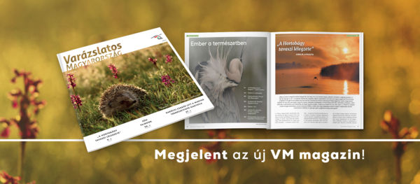 Megjelent a VM magazin legújabb száma