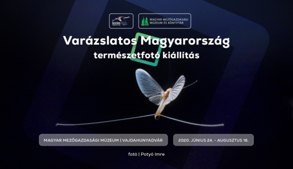 Varázslatos Magyarország 10. természetfotó kiállításmegnyitó