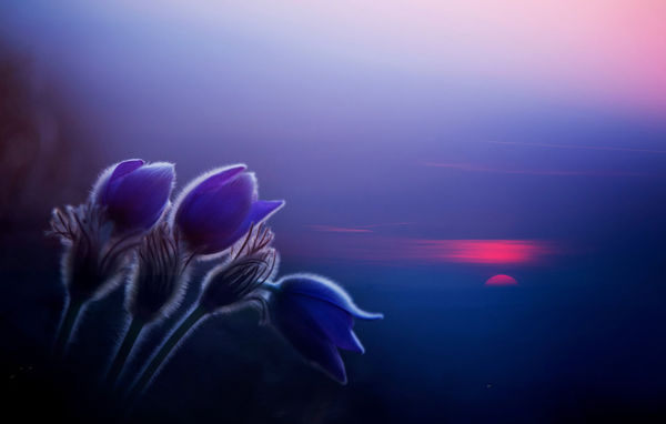 Szabó Irma második lett az októberi WildArt Photographer of the Year fotópályázaton!