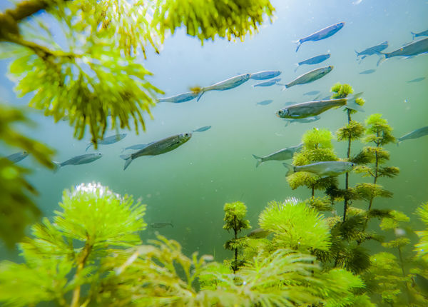 A Magyarország 365 fotópályázat 2021-es nyertesei