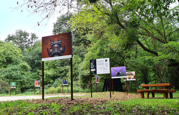 Utolsó lehetőség, hogy megtekintsék a FotoKozma kiállításait!
