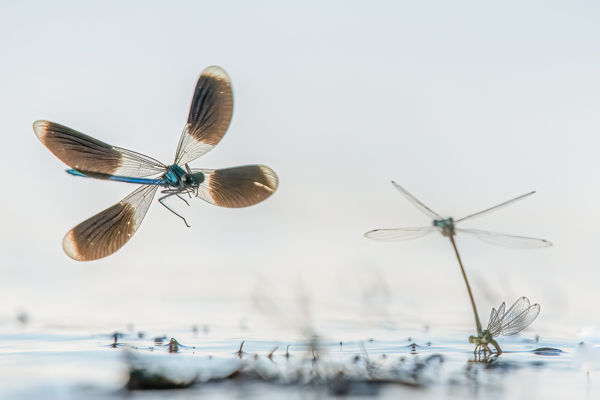 Megszülettek a VM augusztusi fotópályázatának eredményei