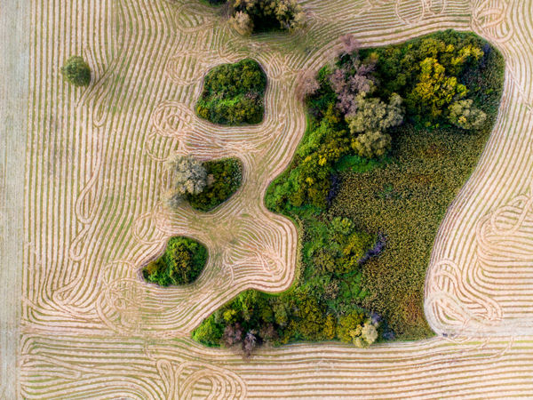 A civilizáció fennmaradása a tét – Az evolúciókutató útmutatásai a bolygó megmentésére