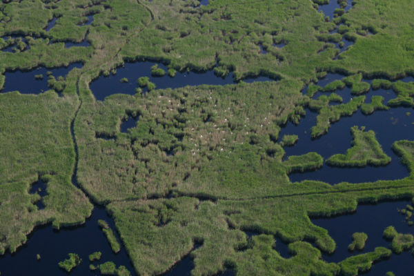 Kalandozások nemzeti parkjainkban – Fertő-Hanság Nemzeti Park III.