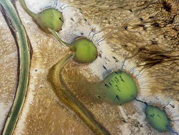 A VM 2021 november havi pályázatainak eredményei