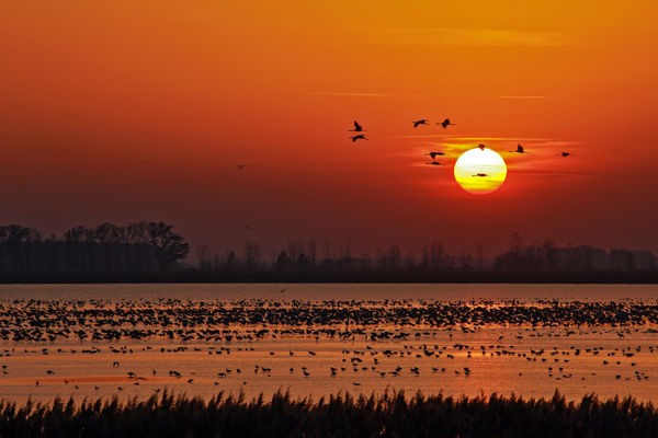 Kalandozások nemzeti parkjainkban – Hortobágyi Nemzeti Park II.