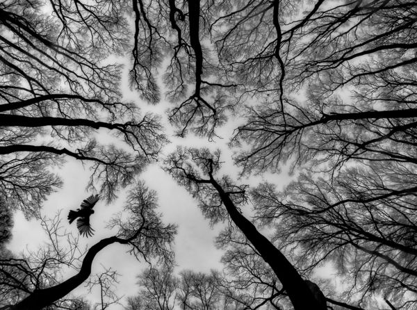 A VM 2022 decemberi fotópályázatának eredményei