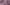 Kicsi parányok vagy épp nyúlánk óriások – orchideavirágzás