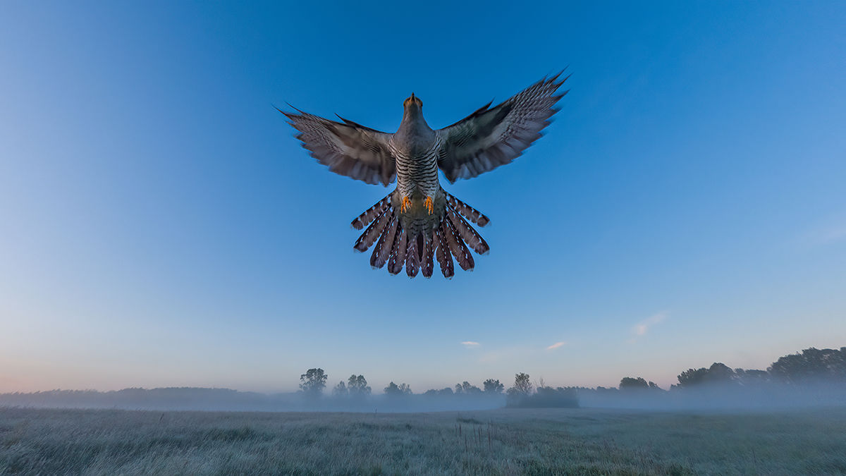 Megszülettek a VM áprilisi fotópályázatának eredményei