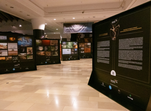 Varázslatos természetfotók a Magyar Természettudományi Múzeumban