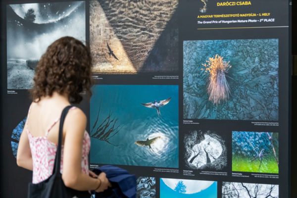 Csodálatos természetfotók és a természetfotózás szerelmesei a Debreceni Virágkarneválon