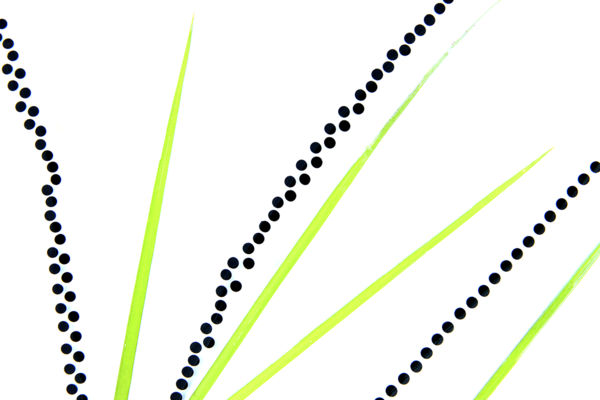 Megszülettek a VM novemberi fotópályázatának eredményei