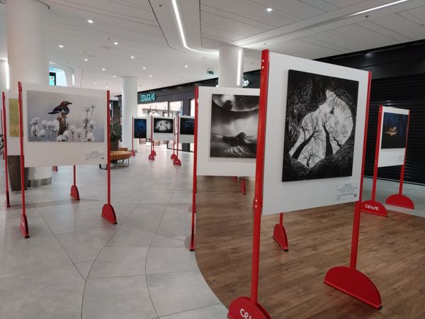 A Varázslatos Magyarország és a CEWE kiállítása a Shopmark bevásárlóközpontban