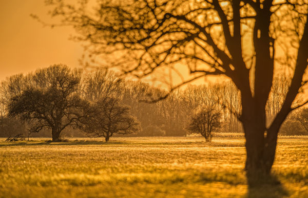 Utaznak a pókok, úszik az ökörnyál a rétek felett