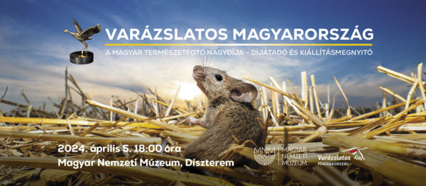 A Varázslatos Magyarország hamarosan kihirdeti, hogy ki nyerte A magyar természetfotó nagydíját