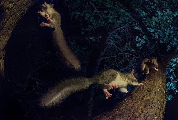 Megszülettek a VM májusi fotópályázatának eredményei