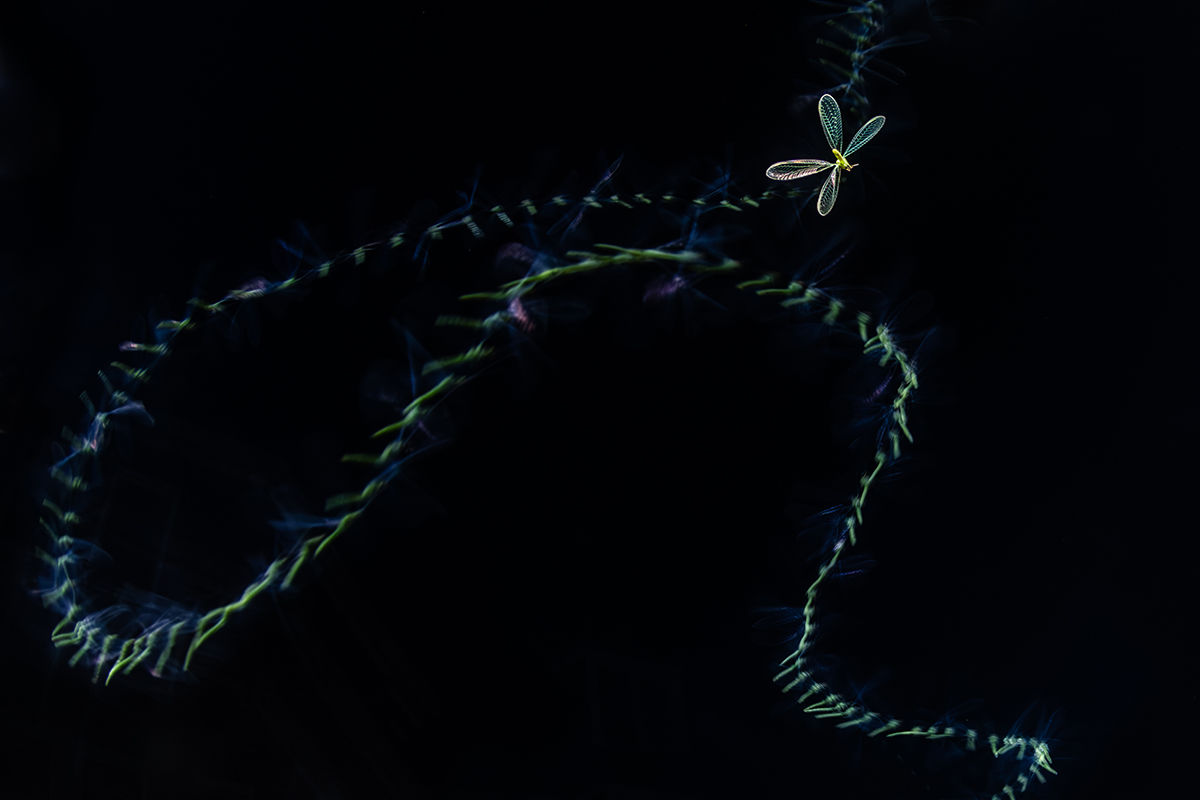 Megszülettek a VM augusztusi fotópályázatának eredményei