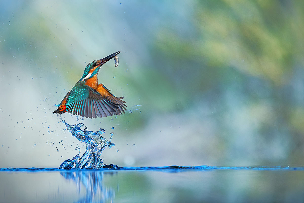 Megszülettek a VM áprilisi fotópályázatának eredményei